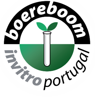 Boereboom Invitro logo